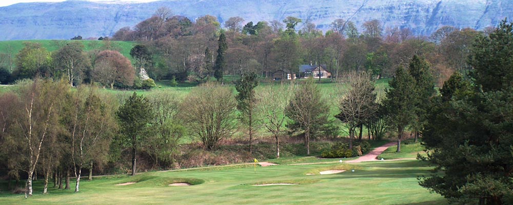 Pierfrancesco De Simone - Hayston Golf Club